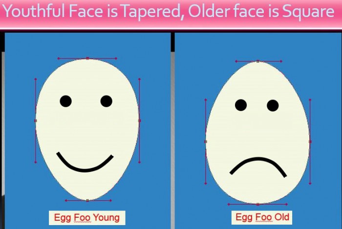 egg
