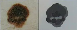 c = Color Varied (color or shade differences from one area to another, may be tan, brown, black, red or blue)