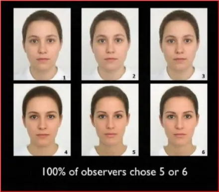 Facial proportion is one of the key components of beauty