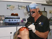 cosmetic