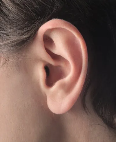 closeup of ear